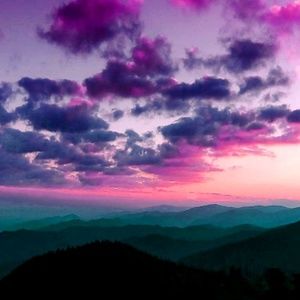 Meet your Posher, Kenzie